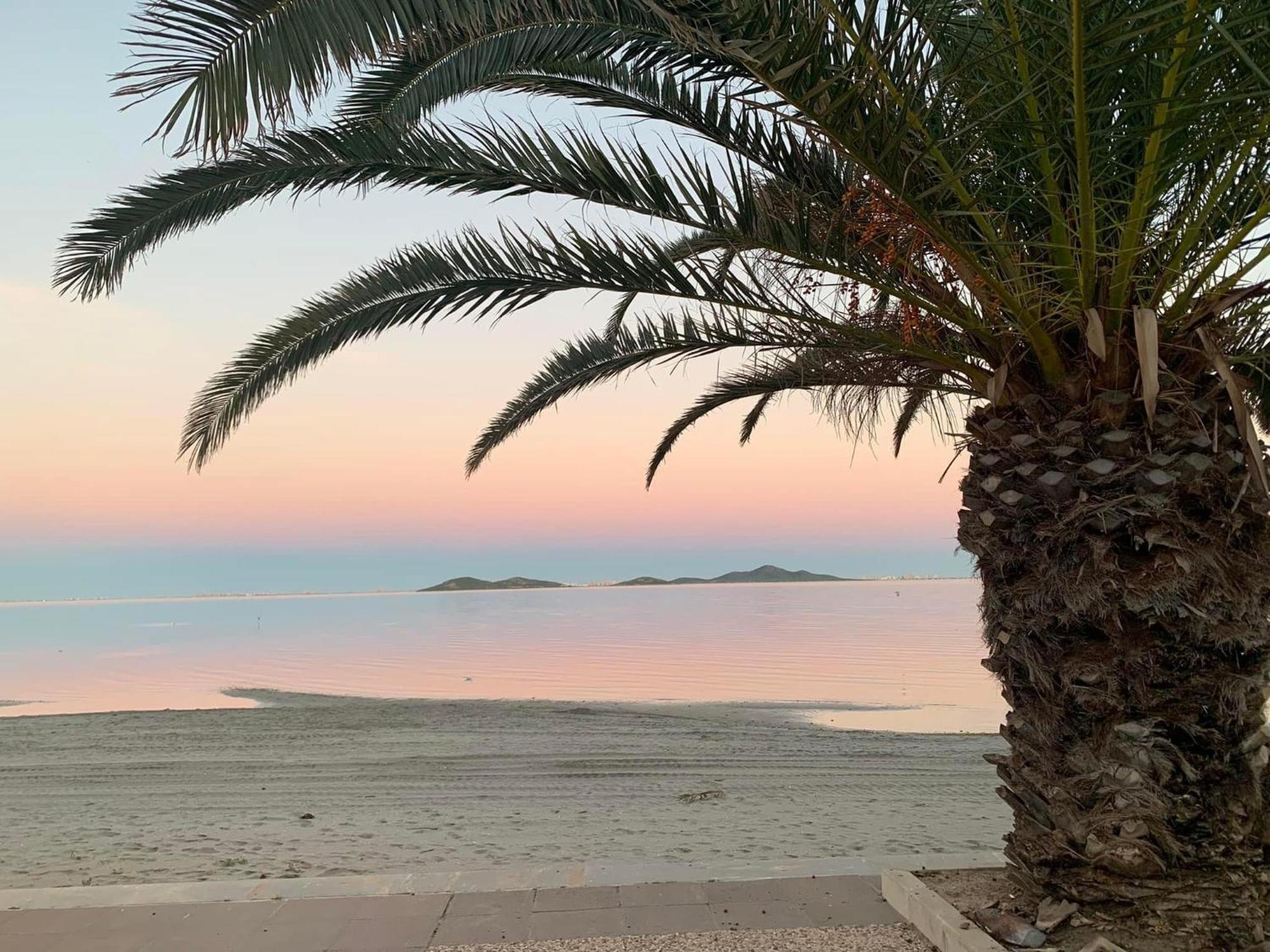 Apartamento Mar Menor, Los Urrutias - Beachfront Apartment With Patio Under New Management Since July 2024 كارتاخينه المظهر الخارجي الصورة